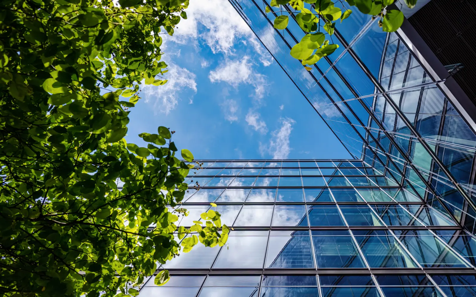 Why Spring Is the Best Time for Maintenance